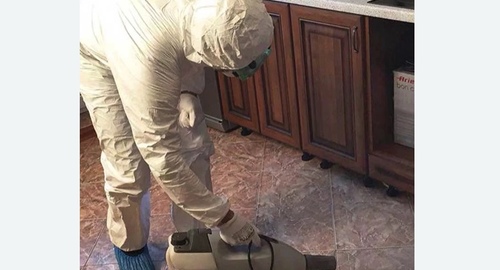Уничтожение тараканов в квартире. ВАО Москвы